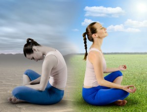 Fresh meditation